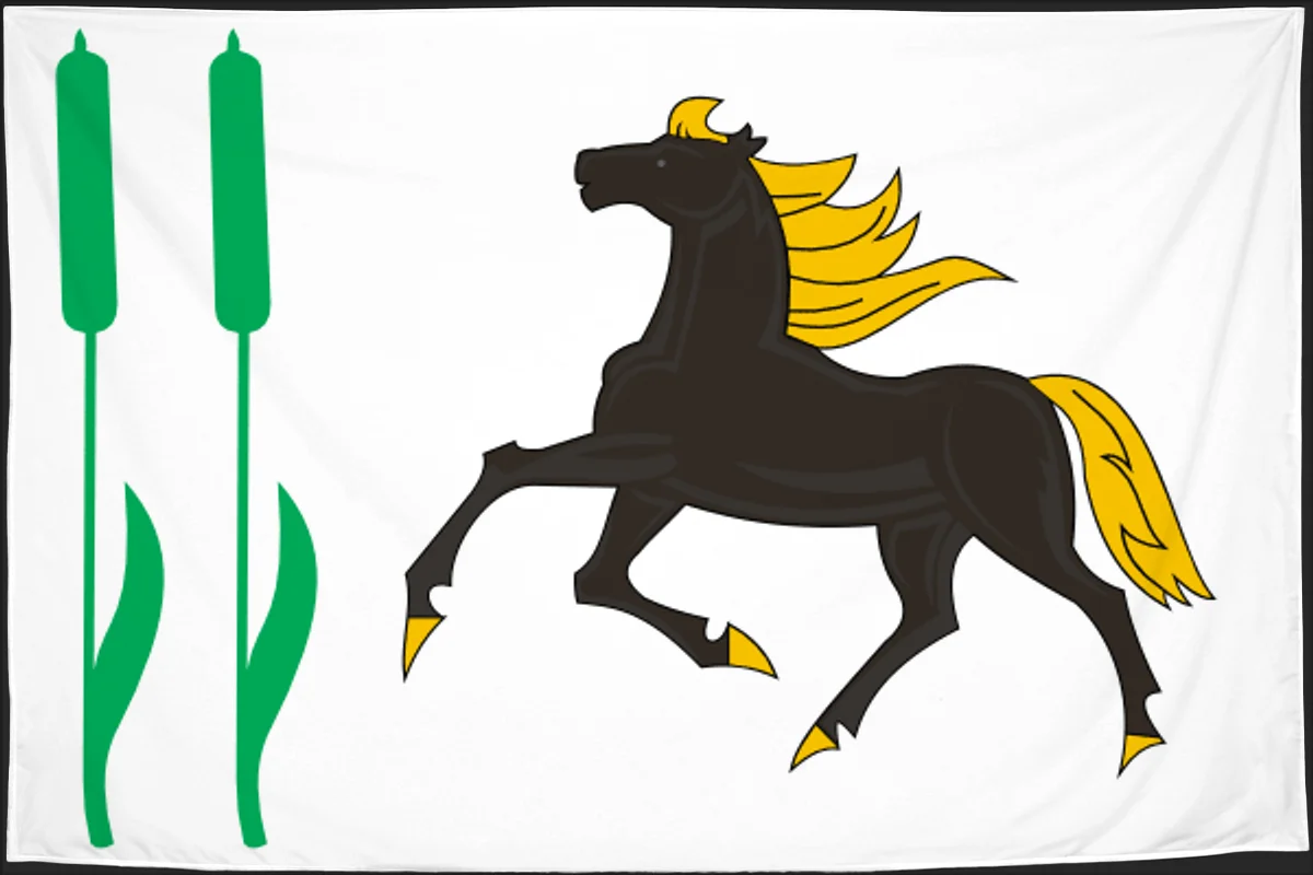 Флаг: Камышлинский район